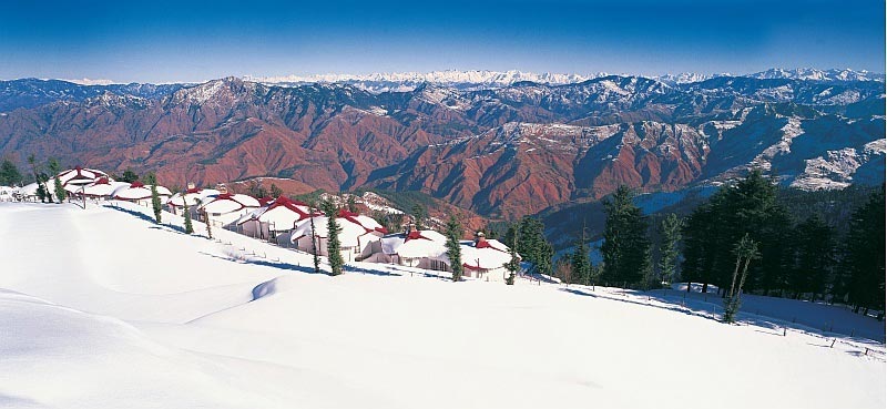 Magnificent Shimla Manali Tour
