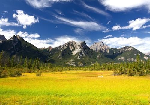 Banff, Jasper, Yoho & Waterton Lake National Parks and Calgary Tour from Calgary (with Airport Trans