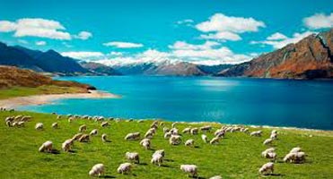 Self Drive - Seven Colors Of New Zealand Tour