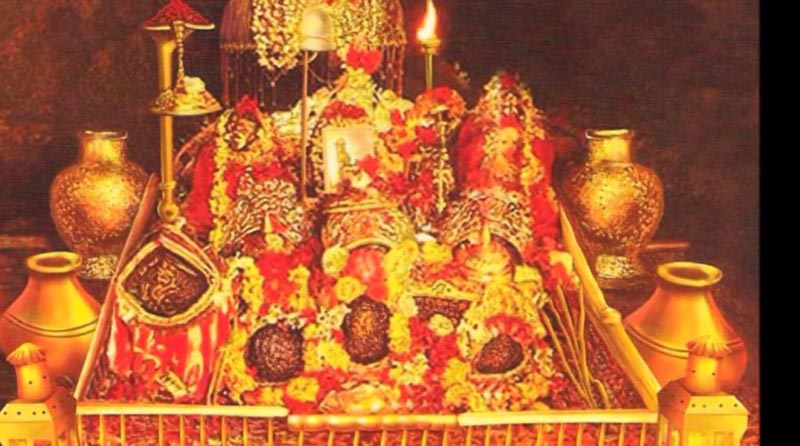 9 Devi Darshan Tour