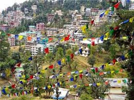 Dharamsala - Chamundaji - Palampur - Dharamsala Tour