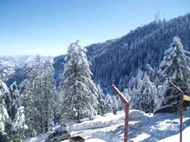 Manali 3 Star Package For 04 Days