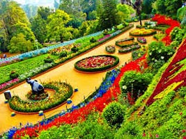 Mysore And Ooty 4 Star Package For 5 Days