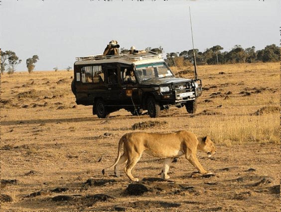 Kenya Safari Packages
