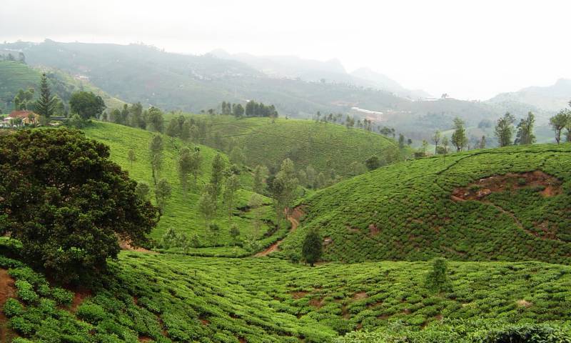 Ooty Holiday Packages