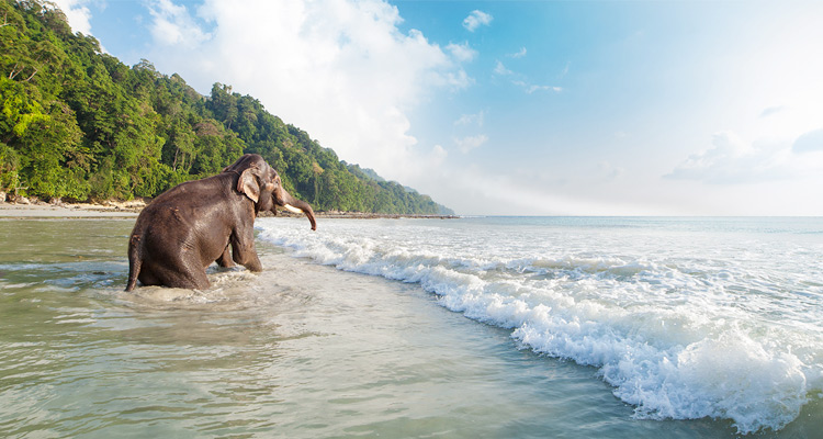 Andaman 6Nights - 7Days Tour Package