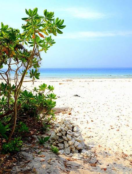 Andaman 6Nights - 7Days Tour Package