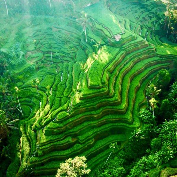 Mesmerizing Bali 6 Nights - 7 Days Tour