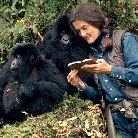4Days/3Nights Rwanda Mountain Gorillas Tracking Itinerary Tour