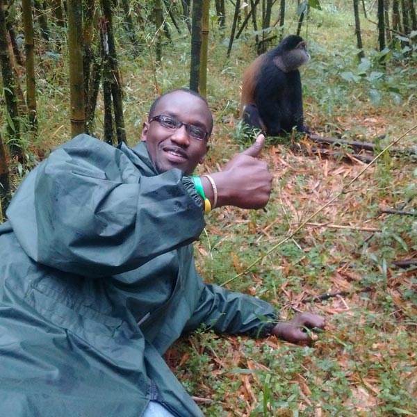 4-Day Rwanda Double Gorilla Trek & Golden Monkeys Tour