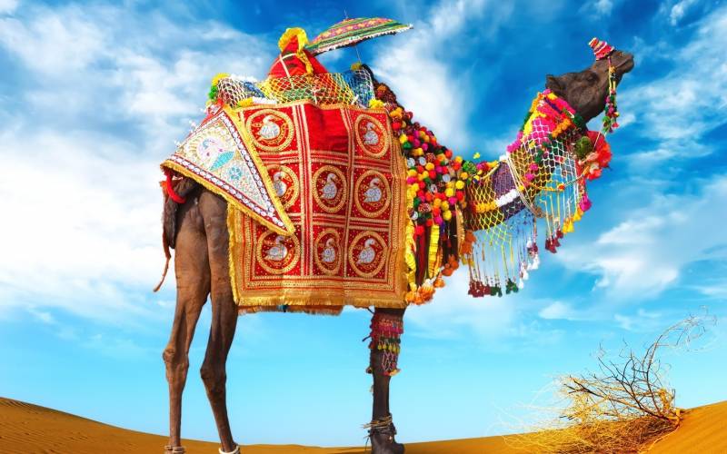 RAJASTHAN CULTURAL TOUR PACKAGE