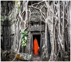 Hanoi Halong Siemriep Trip