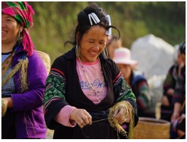 Hanoi  - Sapa - Halong – Yellow Season
