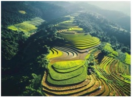 Hanoi  - Sapa - Halong – Yellow Season