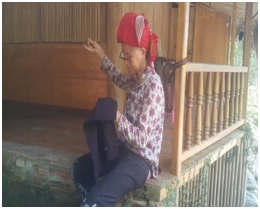 Hanoi  - Sapa - Halong – Yellow Season