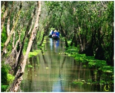 Mekong Delta Retreat
