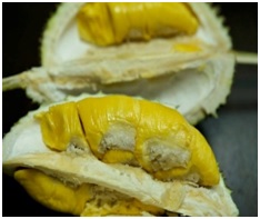 Mekong Delta Retreat