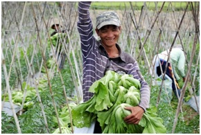 Phnom Penh - Siem Reap