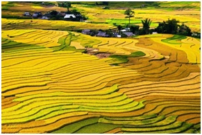 Phnom Penh - Siem Reap