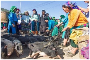 Phnom Penh - Siem Reap