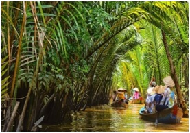 South Vietnam Discovery