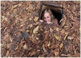 South Vietnam Discovery