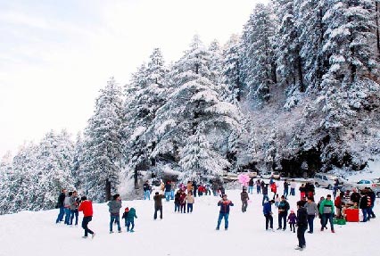 Himachal Tour With 5 Adults