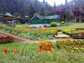 South India Tour Ooty Tour Package