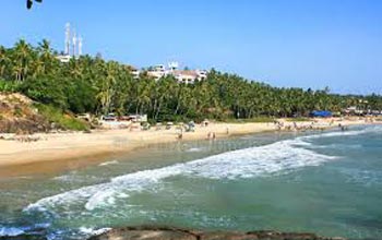 Best Of Kerala With Treehouse Stay Package