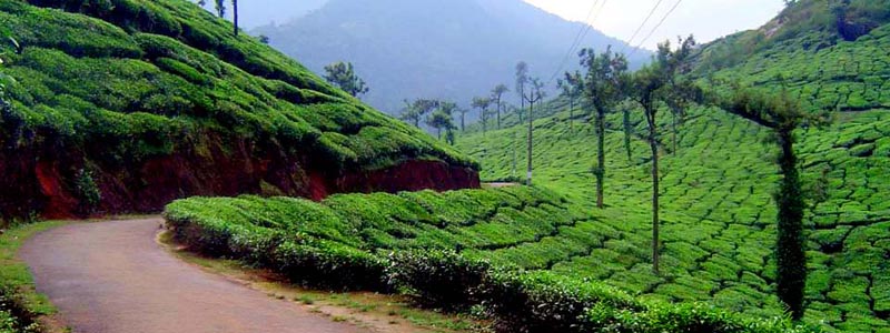 Hill Stations Of South India Package