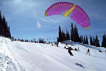 Bir Billing Paragliding Tour