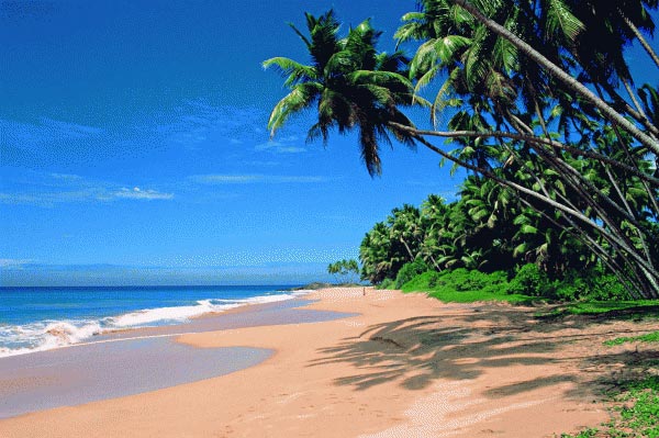 Goa Budget Tour Holiday Package