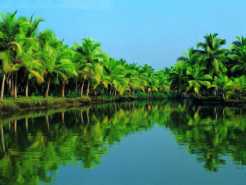  Hill & Wild Kerala Package With Backwaters & Beaches