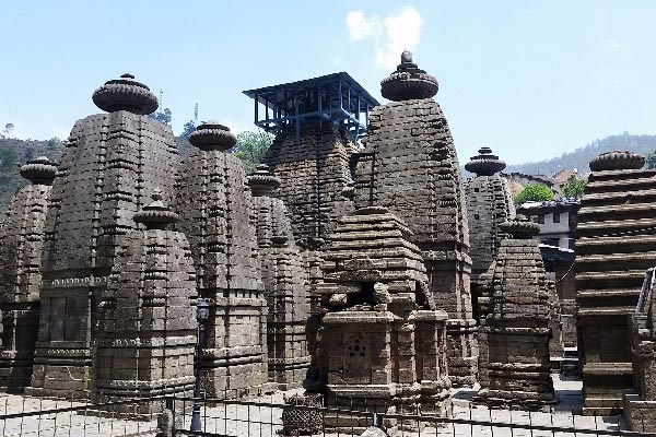 New year Celebrations at Binsar wildlife sanctuary