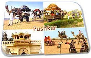 Pushkar City Tour