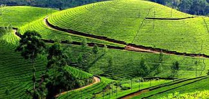 Kerala With Ooty Tour