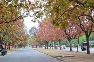 Chandigarh Tour Package