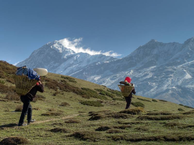 Dzongri Trek Sikkim Tour