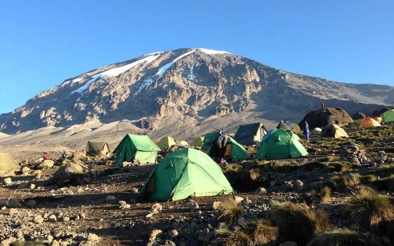 Kilimanjaro Climb-Shira Route Tour