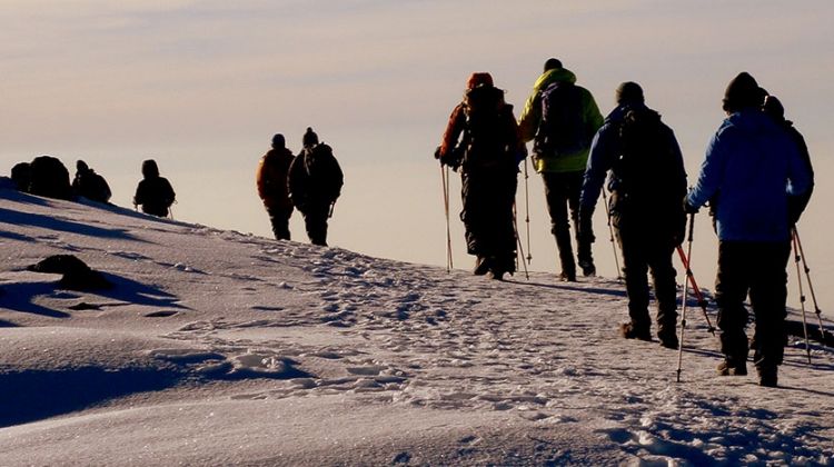 Kilimanjaro Climb-Shira Route Tour