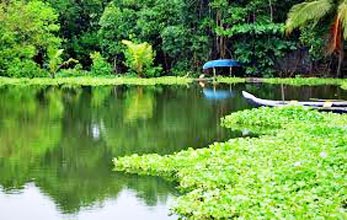 Coorg 3 Nights/4 Days Tour