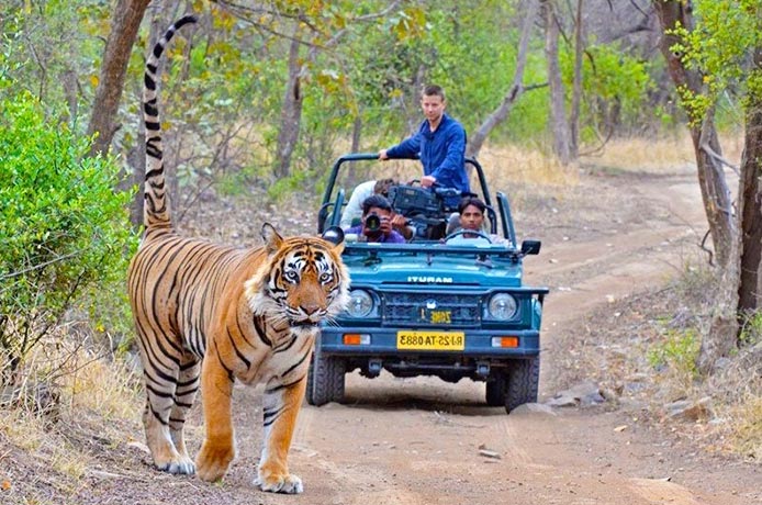 Golden Triangle With Ranthambore Park Tour