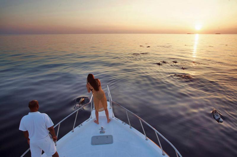 Sunset Dolphin Cruise Maldives Tour