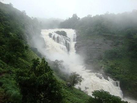 Coffee Experience Coorg Tour Package