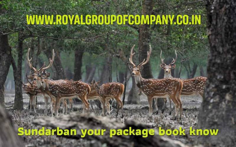 Sunderban Tour -- 2N 3D Trip