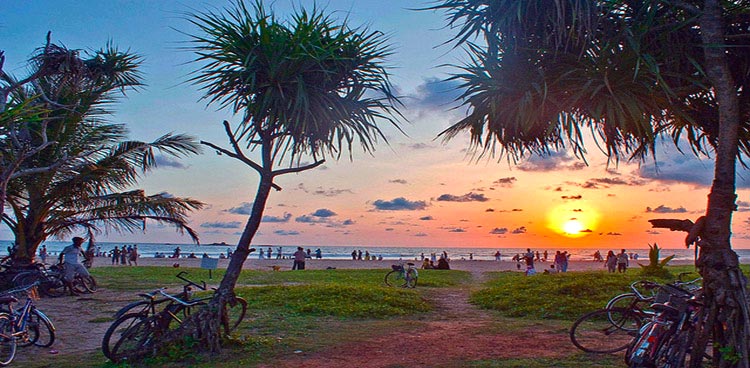 Sri Lanka South Coast Beach Tours