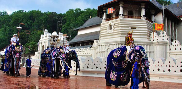 Discover Sri Lanka Tour