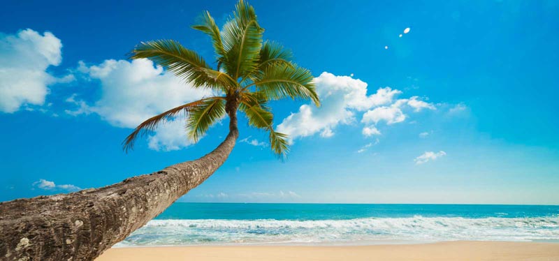 Discover Sri Lanka Tour