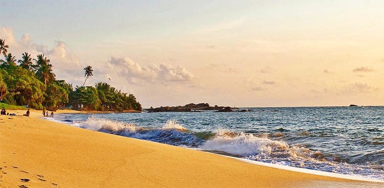 Discover Sri Lanka Tour