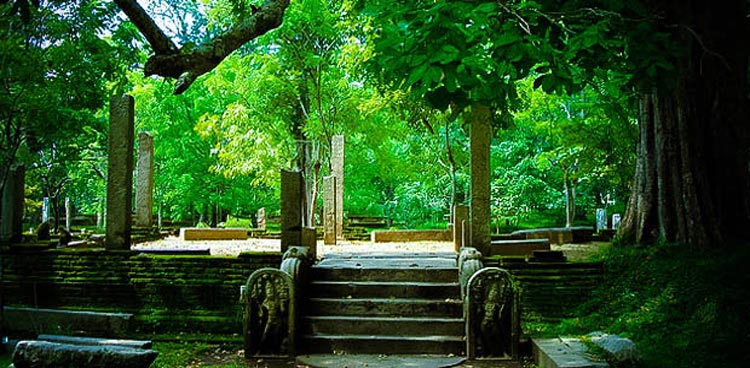 Sri Lanka Culture & Heritage Tour - 7 Days